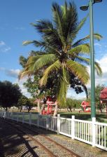 Monagas Park picnic area