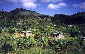 Guilarte Peak in Adjuntas